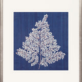 Fern Motif II