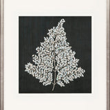 Fern Motif VIII