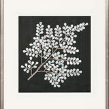 Fern Motif IX