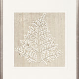 Fern Motif XI