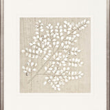 Fern Motif XII