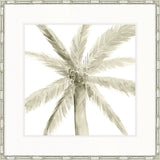 Alamanda Palm IV
