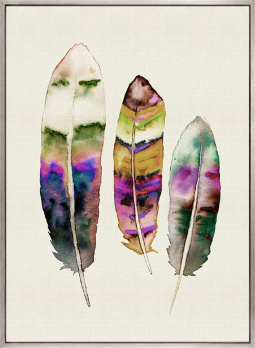 Feather Delight I (Canvas)