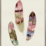 Feather Delight III (Canvas)