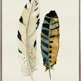 Feather Delight VI (Canvas)