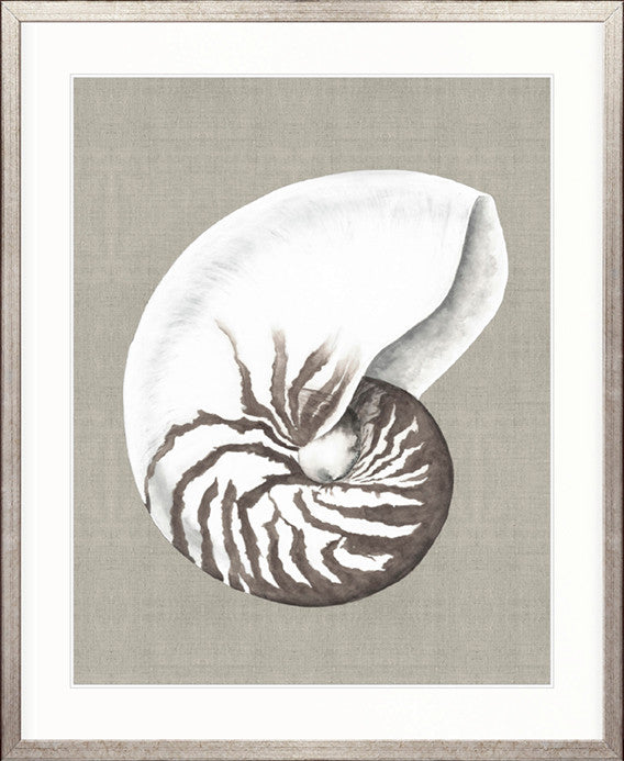 Alva Seashell III