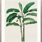 Lush Tropic III