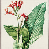 Lush Tropic VIII (Canvas)