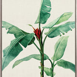 Lush Tropic IX (Canvas)