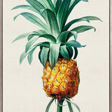 Lush Tropic XI (Canvas)