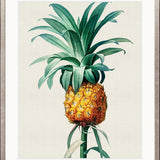 Lush Tropic XI