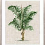 St Aman Palm III