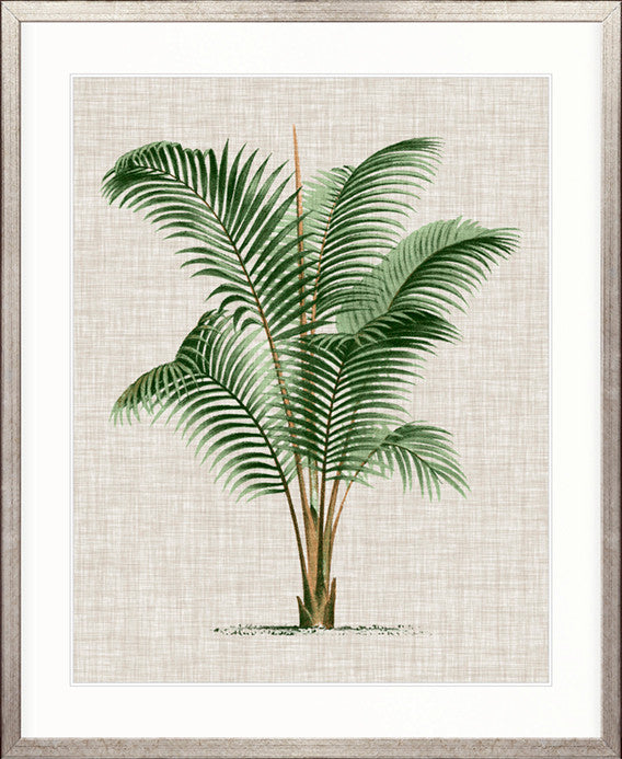 St Aman Palm III