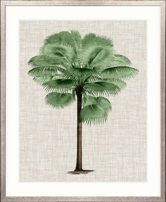 St Aman Palm IV