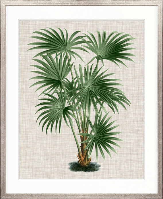 St Aman Palm V