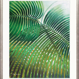 Evergreen Foliage II