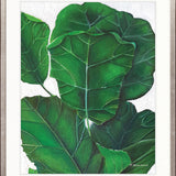 Evergreen Foliage VIII