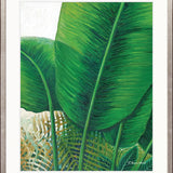 Evergreen Foliage IX