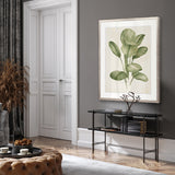 Soft Anaya Palm I