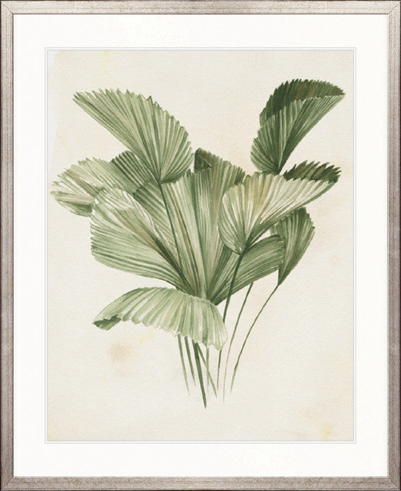 Soft Anaya Palm III