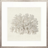 Fanciful Coral III