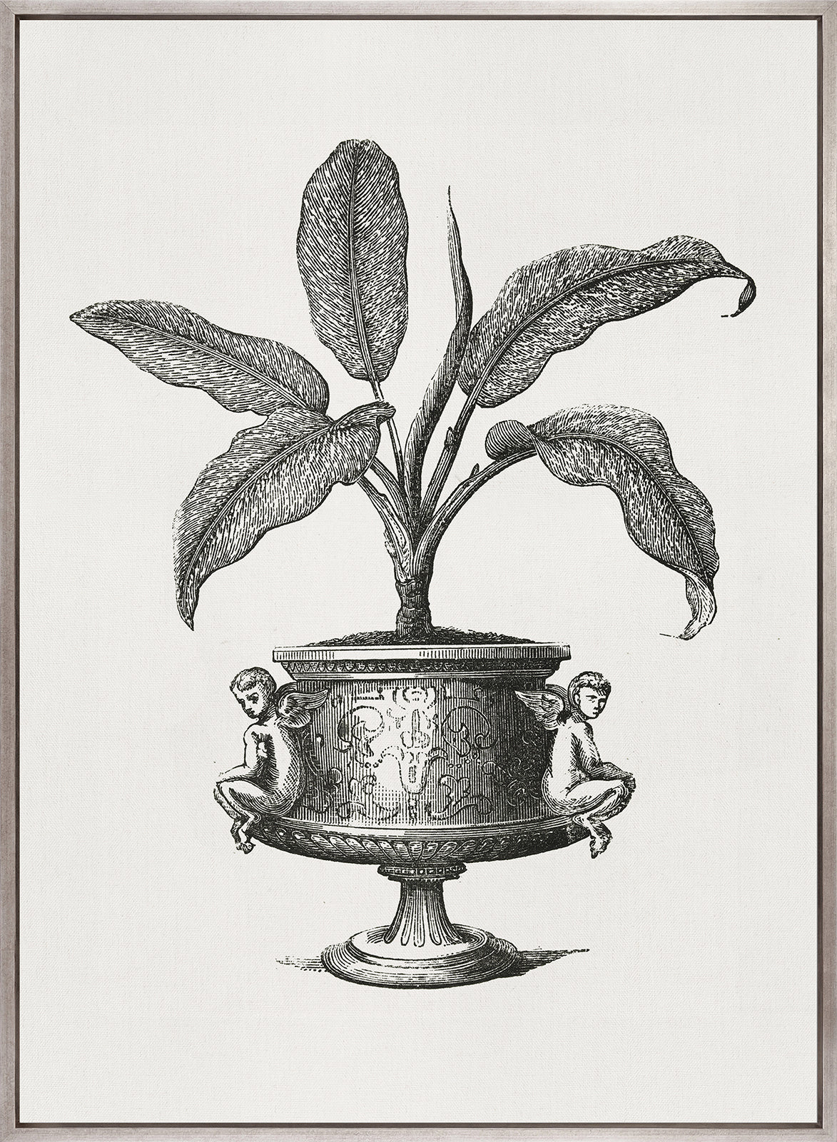 Arborea Collection I (Canvas)