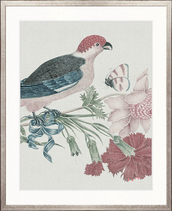 Ariala Bird V