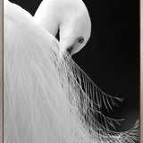 Heron (Canvas)