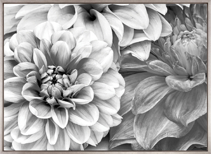 Garden Life (Canvas)