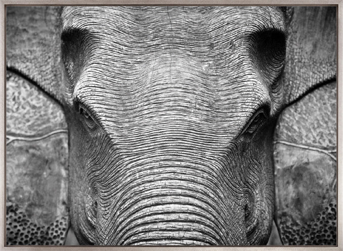Elephant Wisdom (Canvas)