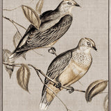 Meadow Birds I (Canvas)