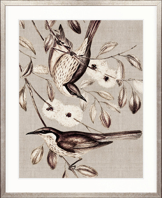 Meadow Birds IV