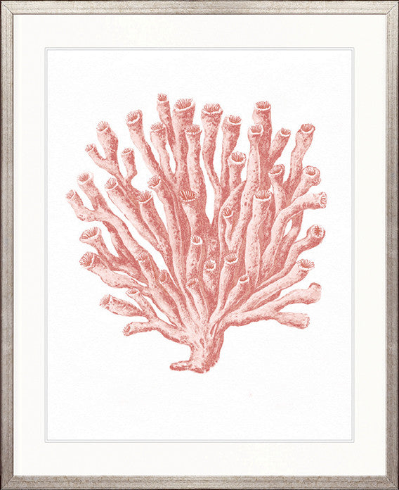 Ashford Soft Coral II