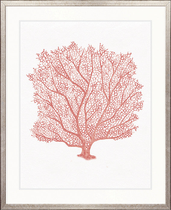 Ashford Soft Coral III