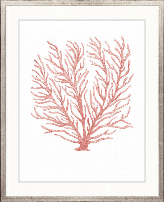Ashford Soft Coral IV