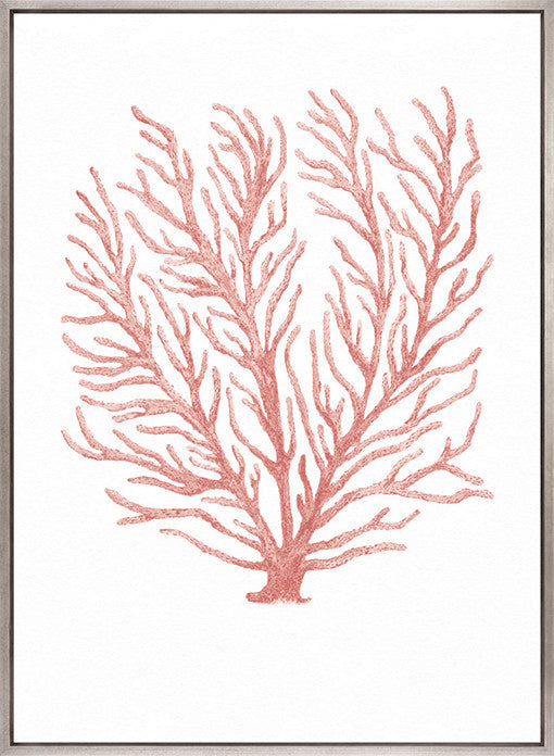 Ashford Soft Coral IV (Canvas)