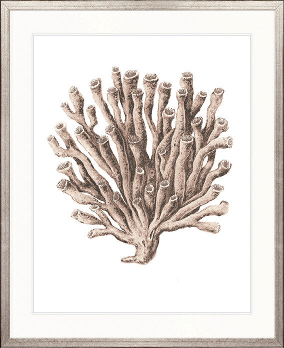 Ashford Soft Coral VI