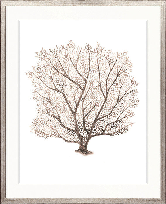 Ashford Soft Coral VII