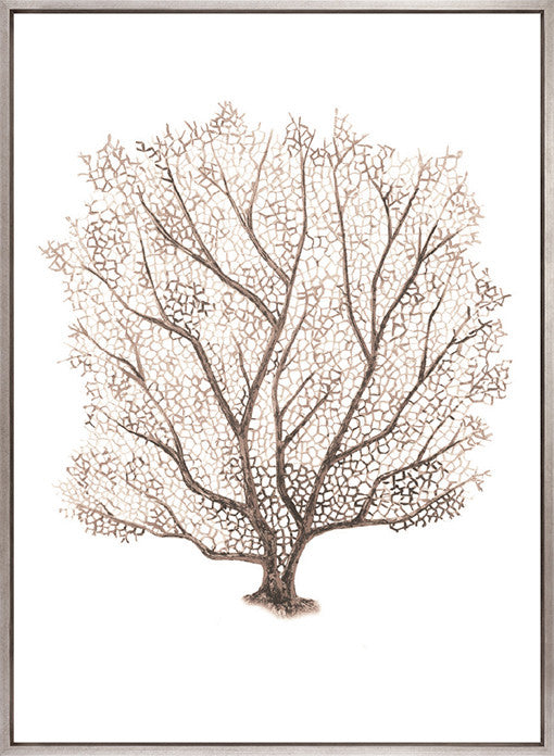 Ashford Soft Coral VII (Canvas)