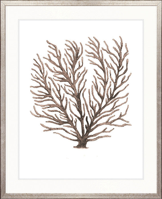 Ashford Soft Coral VIII