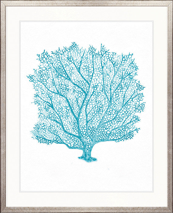 Ashford Soft Coral XI