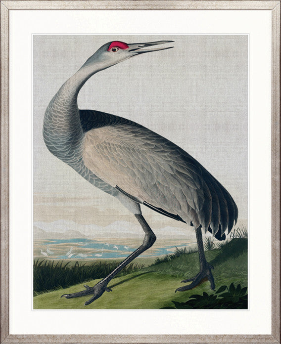 Exquisite Bird I