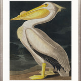 Exquisite Bird II