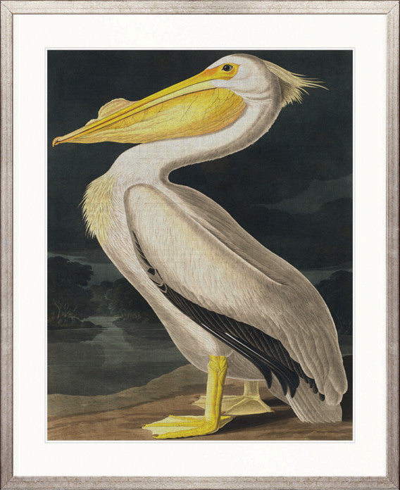 Exquisite Bird II