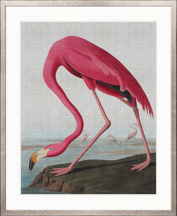 Exquisite Bird III