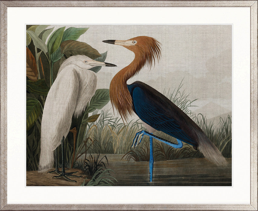 Exquisite Bird VI