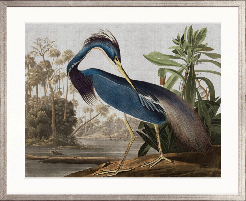 Exquisite Bird VII
