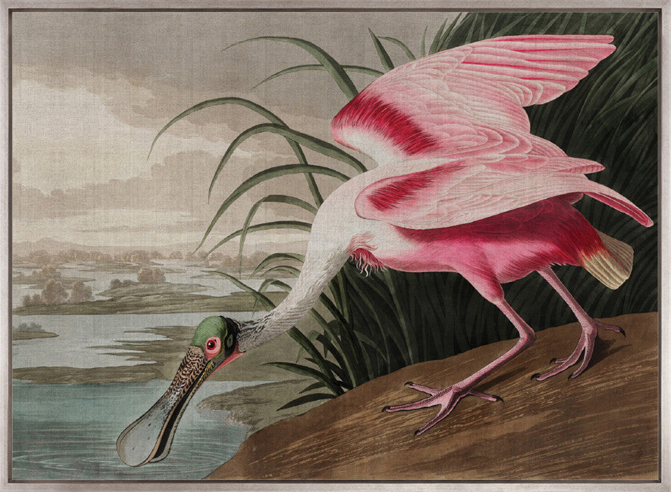 Exquisite Bird IX (Canvas)