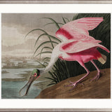 Exquisite Bird IX