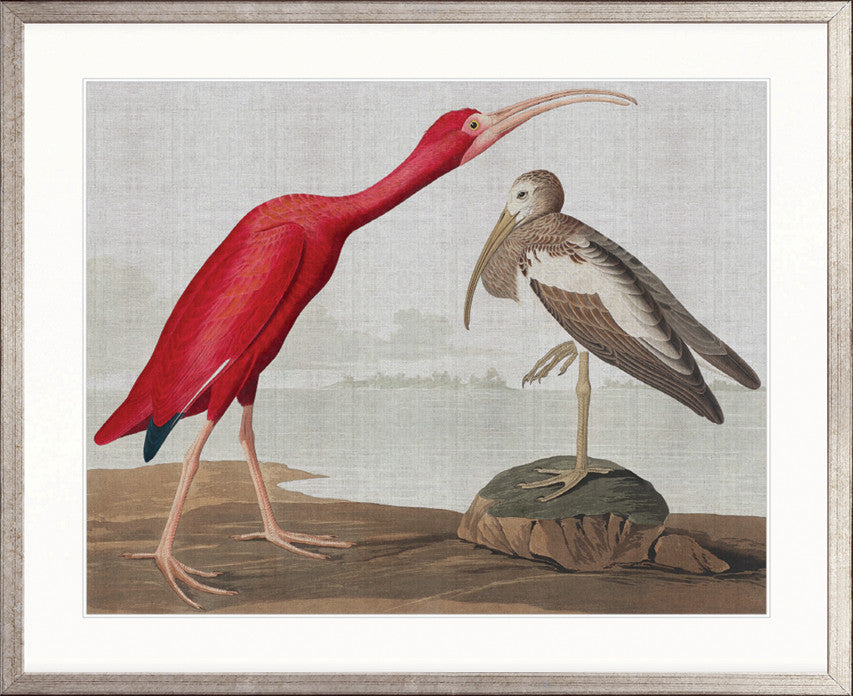 Exquisite Bird X